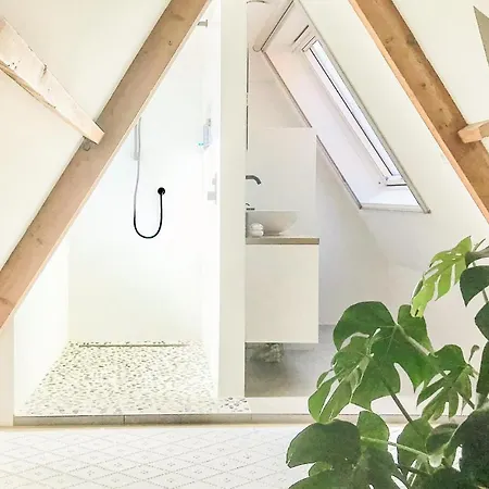 De Zuidhoek * Bergen