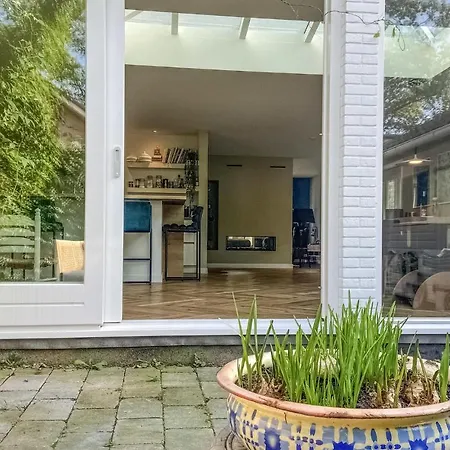 De Zuidhoek * Bergen