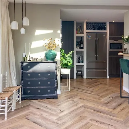 De Zuidhoek Holiday home *