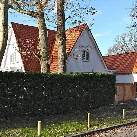 De Zuidhoek * Bergen